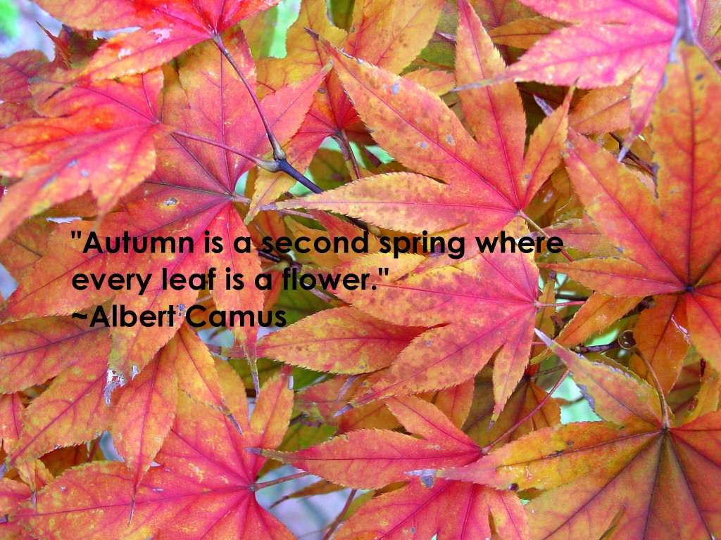 Quotes about Autumn