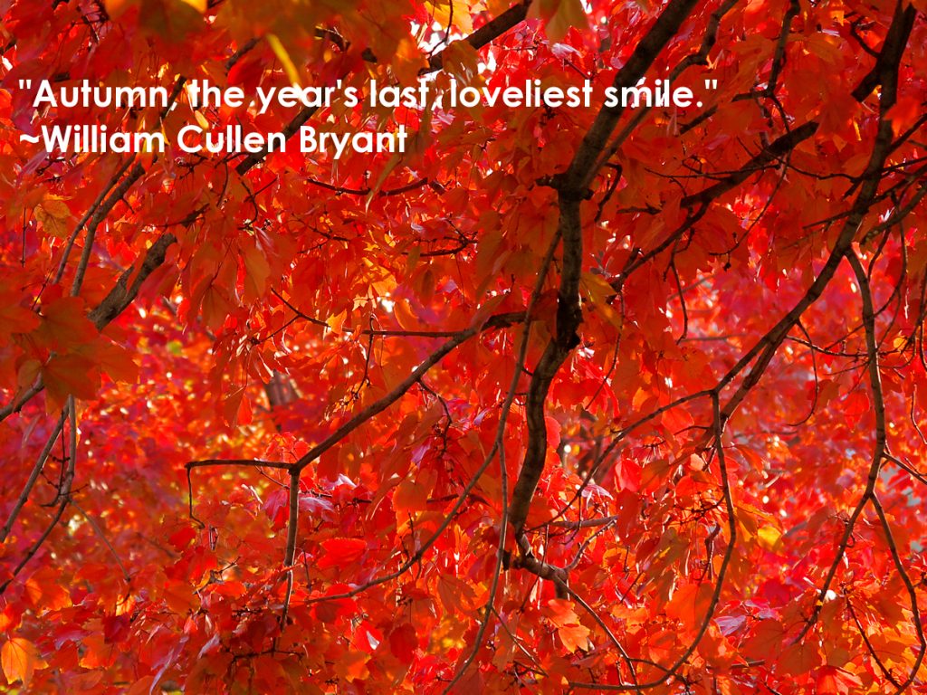 Autumn quote William Cullen Bryant