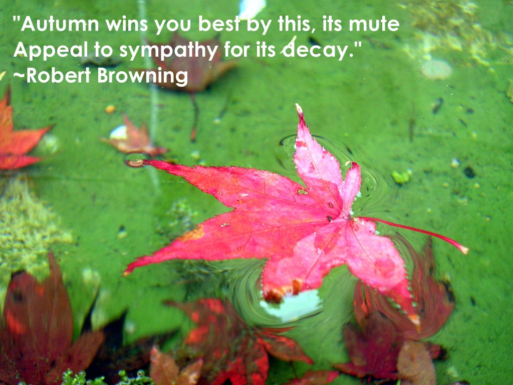 Autumn quote Robert Browning