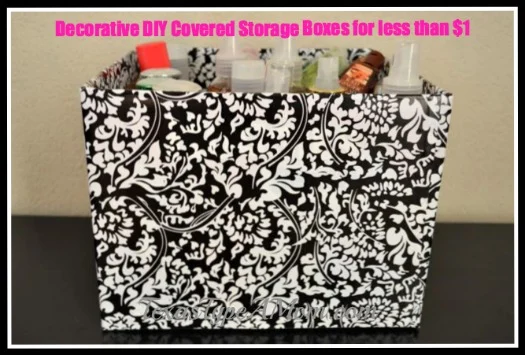 Covered Organization Storage Box