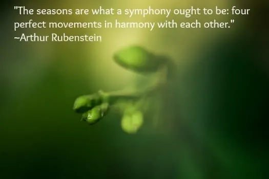 "The seasons are what a symphony ought to be: four perfect movements in harmony with each other." ~Arthur Rubenstein