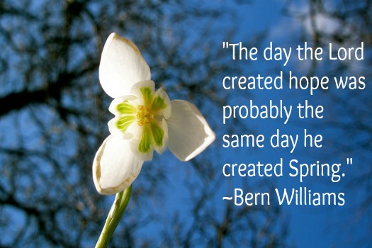 Bern Williams Spring Quote