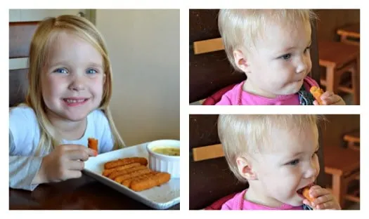 Family Approved Tyson Chicken Fries