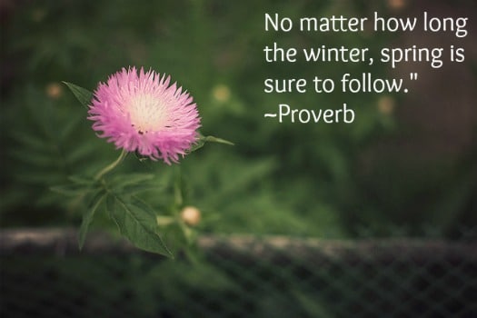Proverb on seasons