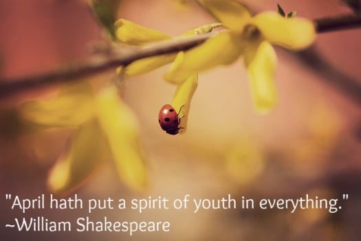 "April hath put a spirit of youth in everything." ~William Shakekspeare