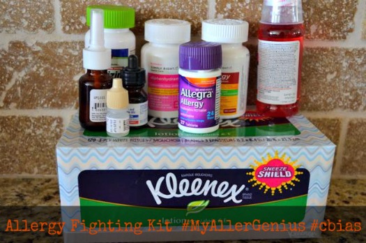 Allergy Fighting Kit