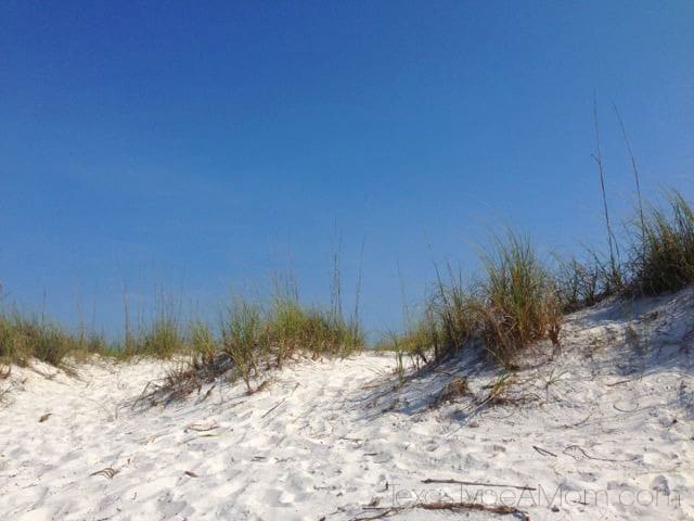 Panama City Beach Florida Sand Dunes
