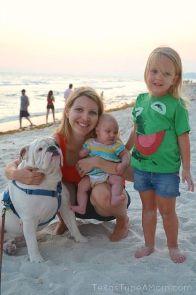 Nudges-Dog-Treats-for-Family-Vacations #nudgesmoments #shop #cbias