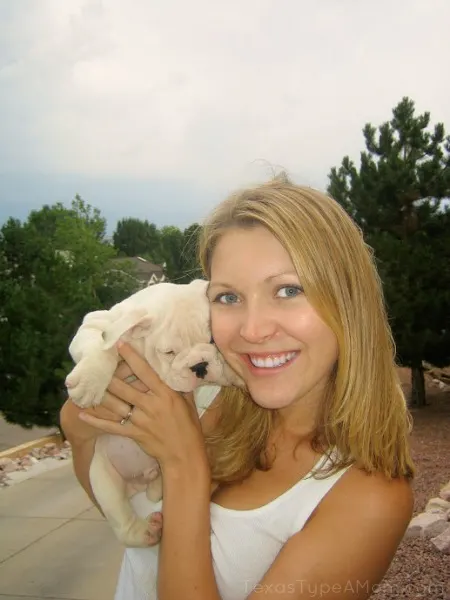 English Bulldogs Love Nudges Dog Treats #NudgesMoments #shop #cbias