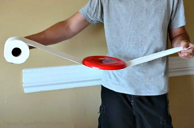 Quilted Northern Frisbee Test