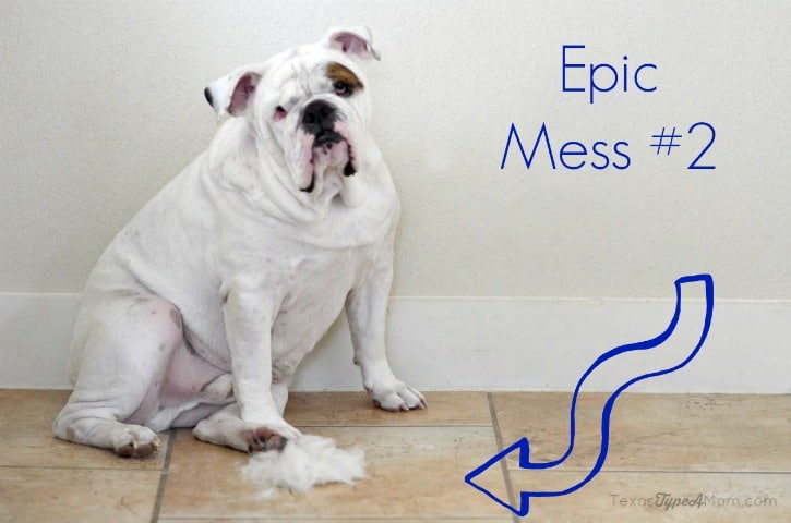 Dog Hair Epic Mess 2 #EurekaPower #ad