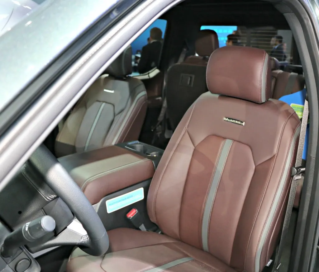 2015 Ford F-150 Platinum Front #FordNAIAS