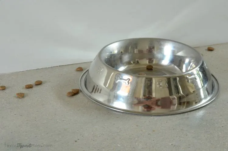 Before Dog Bowl #PetsLoveBeyond #ad
