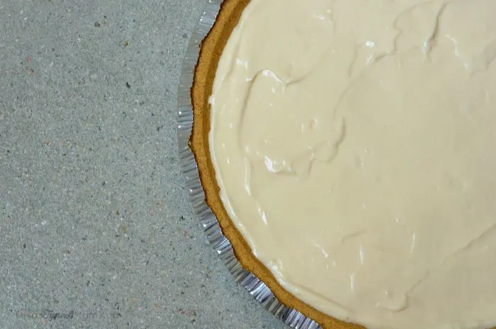 Entertaining this summer? Don't turn on the oven. Try this easy dessert instead - 6 Ingredient Dr Pepper Cherry No Bake Cheesecake recipe!