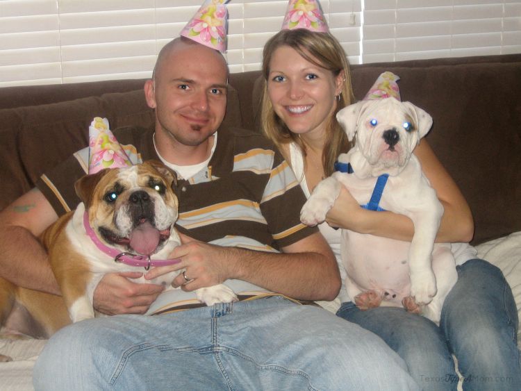 Family Dog Birthday Photo #PetsLoveBeyond #ad