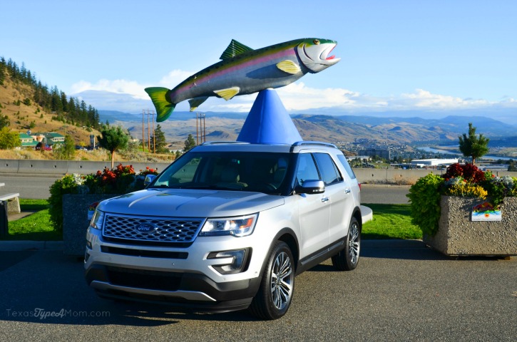 Giant Fish in Kamloops