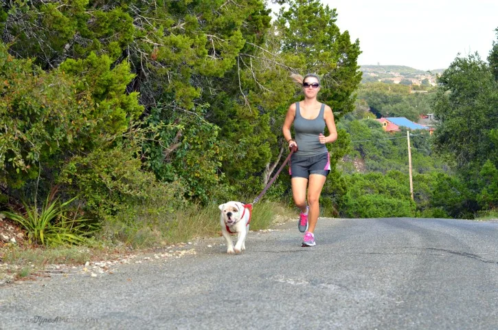 Running with Bulldog
