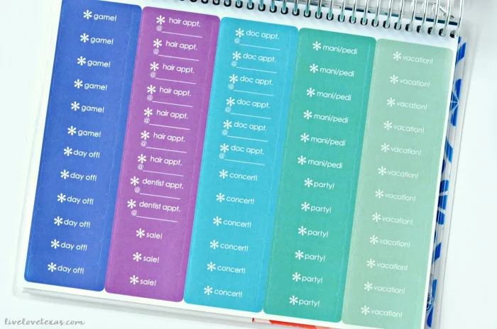 Erin Condren Life Planner Review Stickers
