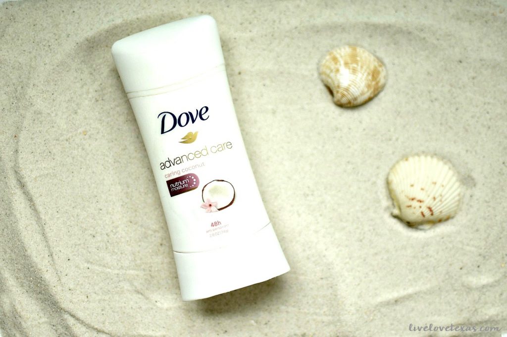 Dove in the sand