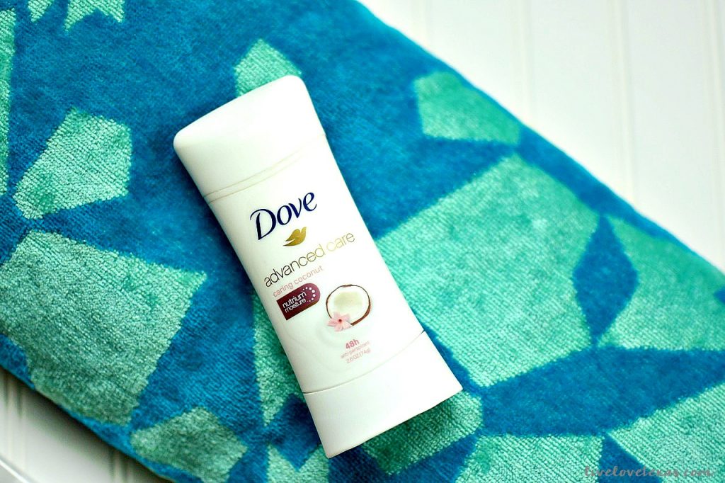 Dove on beach towel