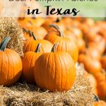 Fall is here! Head out and have some family fun at the 5 Best Pumpkin Patches in Texas! #pumpkinpatches #pumpkins #pumpkinpatch #pumpkinstexas #texaspumpkins #texasfall #fallintexas #fall #halloween #texas #texastravel #texasliving #fallbucketlist