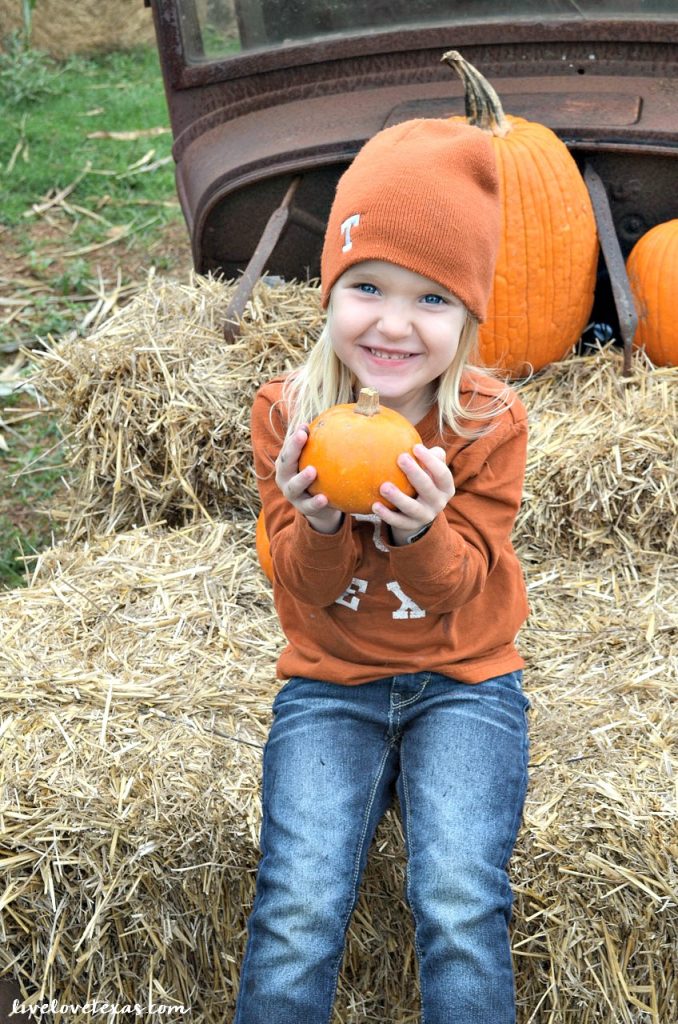 Fall is here! Head out and have some family fun at the 5 Best Pumpkin Patches in Texas! 