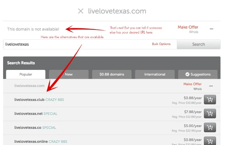 Step 1 of How to Start a Blog in 7 Easy Steps - Name Your Blog and Buy a Domain Name