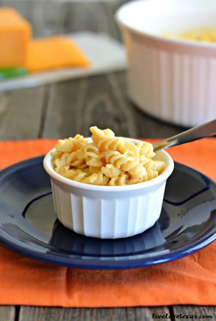 This Spicy Easy Creamy Macaroni & Cheese Recipe&nbsp;hits your palette in all the right places. The spiciness can be adjusted to your taste but the easy creamy macaroni cheese recipe base remains a staple in any kitchen!