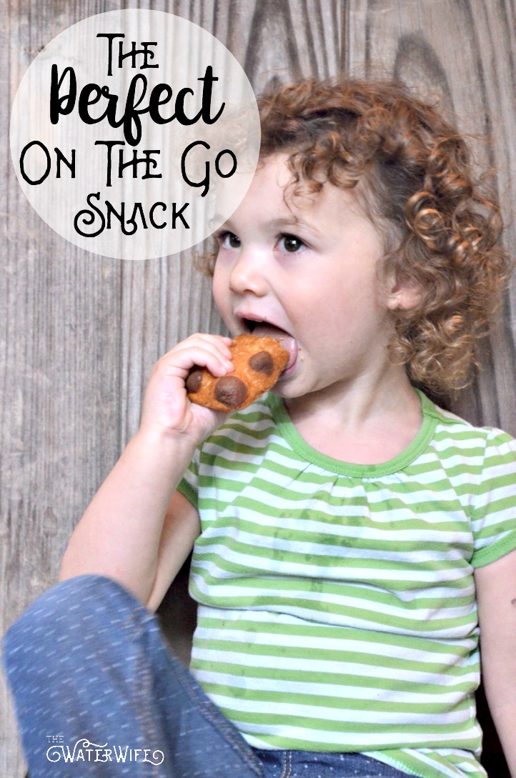 This is the perfect soft, sweet and kid pleasing on the go snack! Find out why it's loved by kids and approved by moms!