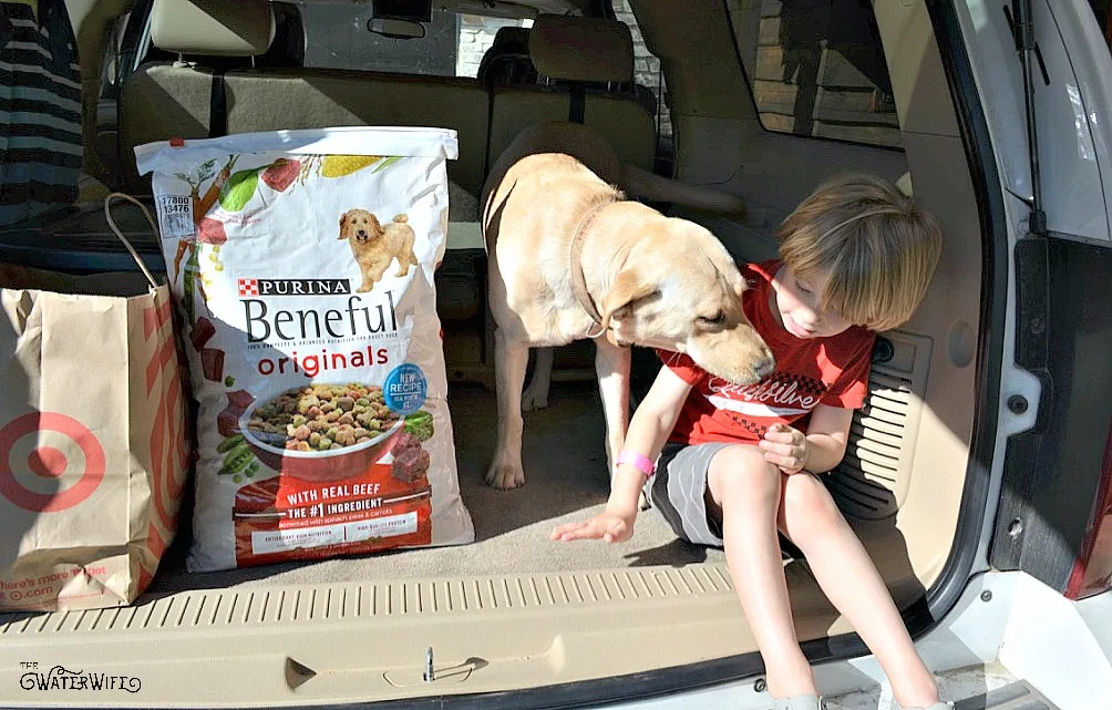Everything you need to know to bring home your new puppy including smart training tips, sleeping advice and how to get all that puppy energy out. A must read for all new puppy owners!