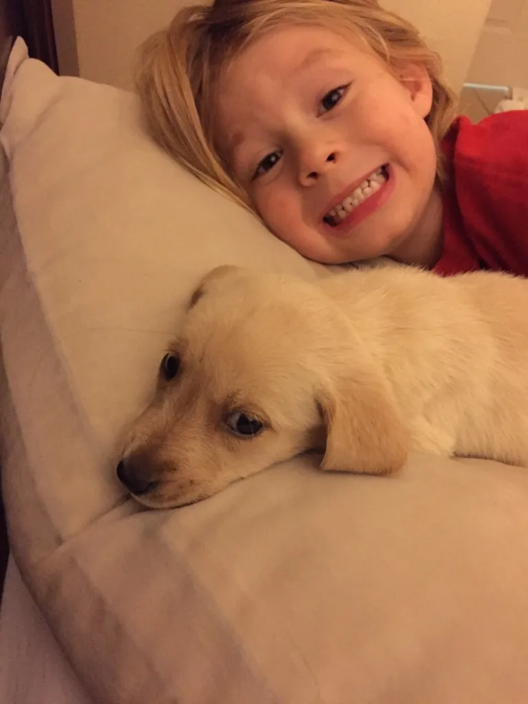 Everything you need to know to bring home your new puppy including smart training tips, sleeping advice and how to get all that puppy energy out. A must read for all new puppy owners!