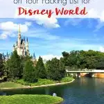 Don't plan the vacation of a lifetime without reading this post of the must have items you need on your packing list for Disney World! #disneyworld #disneyland #familytravel #disney #wdw #floridatravel #orlando #packinglist #tipsandtricks #planning #traveltips