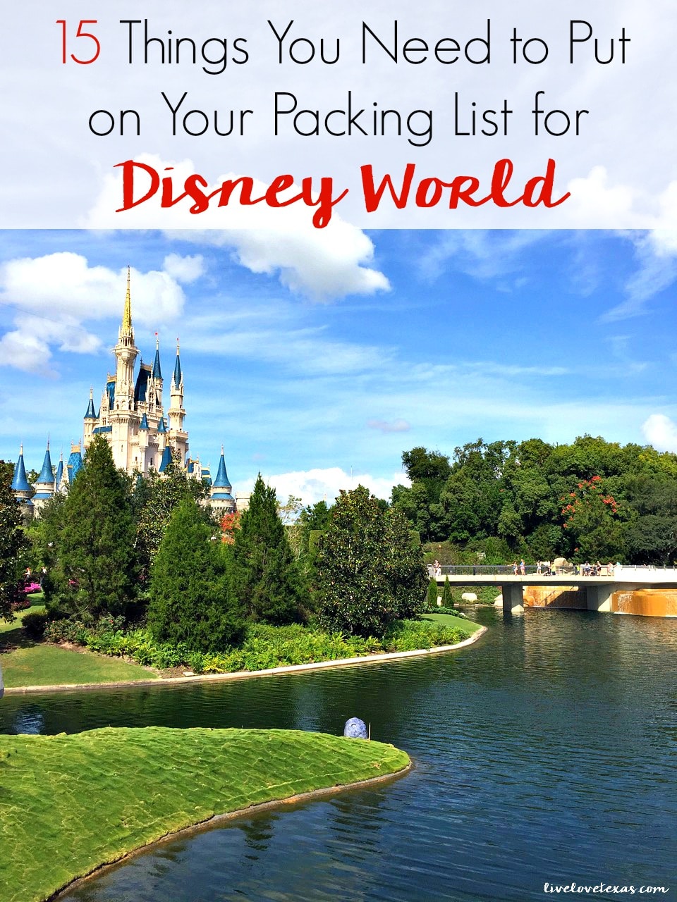 Don't plan the vacation of a lifetime without reading this post of the must have items you need on your packing list for Disney World! #disneyworld #disneyland #familytravel #disney #wdw #floridatravel #orlando #packinglist #tipsandtricks #planning #traveltips