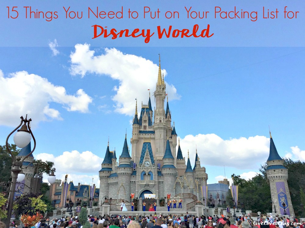 Don't plan the vacation of a lifetime without reading this post of the must have items you need on your packing list for Disney World!