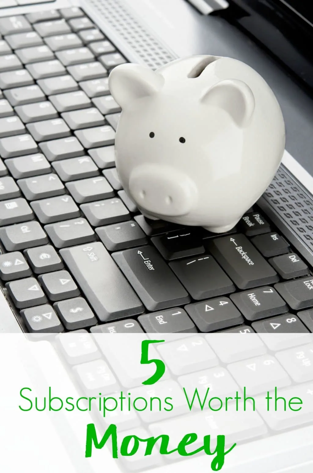 Take the guesswork out of things and maximize your monthly budget with these 5 Subscriptions Worth the Money...plus 1 subscription everyone needs!