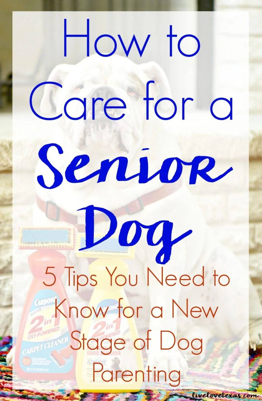 You never really know how to parent until you get to that stage. Take advice from someone that's in the thick of it and learn how to care for a senior dog!
