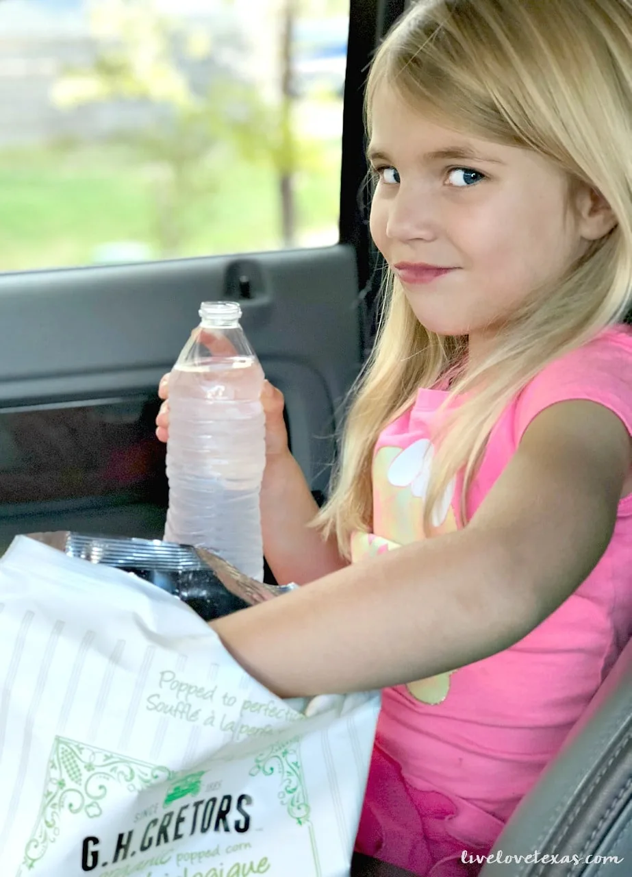 Do you ever feel like your life is spent in the car? There's hope! Check out these 5 Tips for the On the Go Mom to help you be prepared and stay sane.