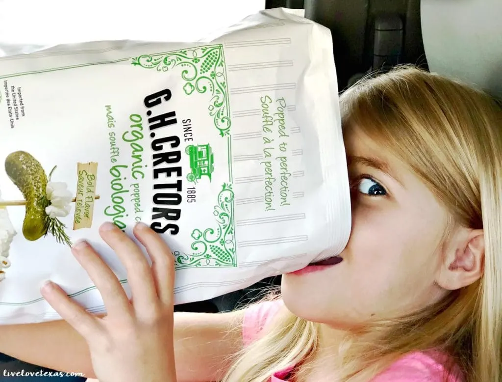 Do you ever feel like your life is spent in the car? There's hope! Check out these 5 Tips for the On the Go Mom to help you be prepared and stay sane.