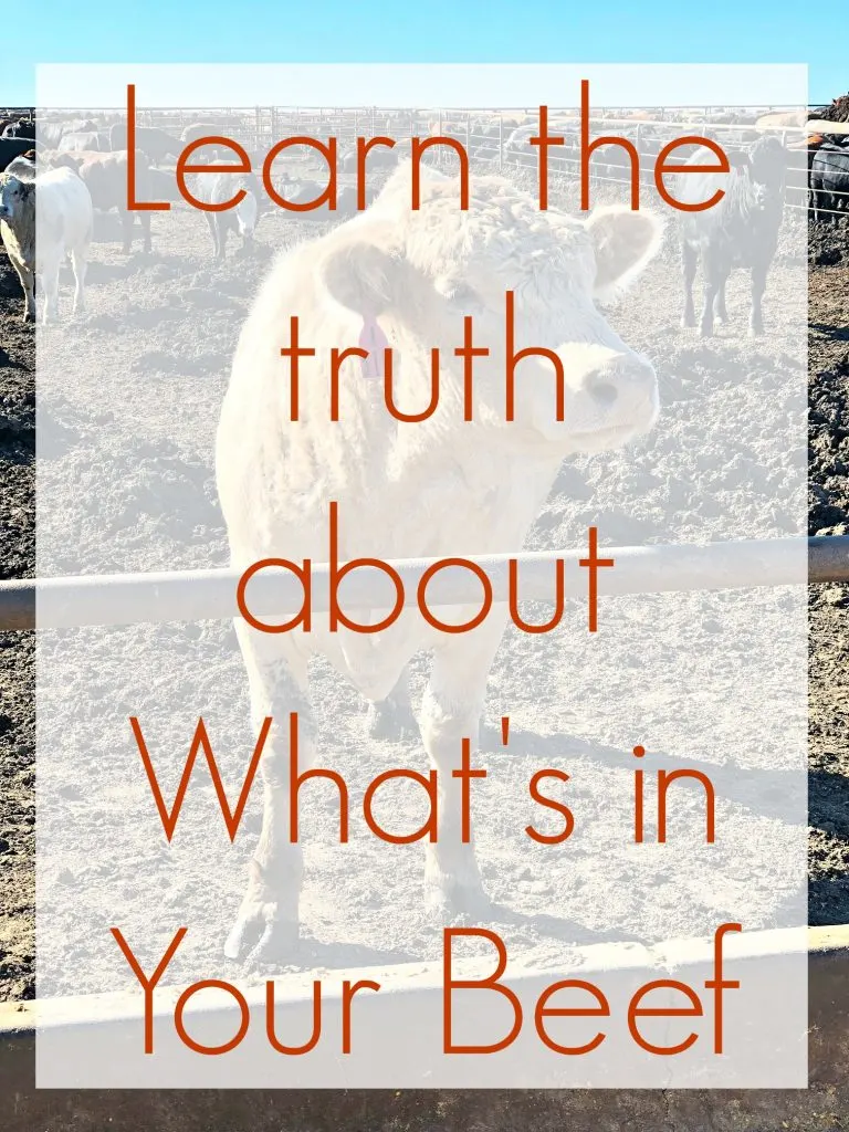 We only want to put the best things in our bodies and to feed the best things to our kids. Learn what's in your beef on this journey from feed lot to fork!