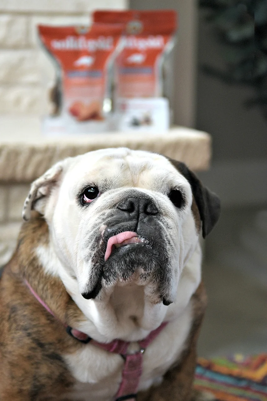 Don't let stress or worry keep you from enjoying the holidays. Just follow this essential guide of the best holiday dinner hosting tips!