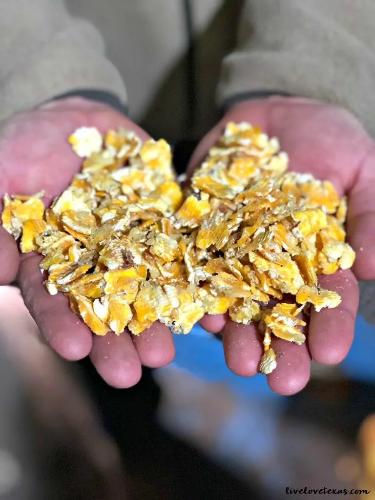 We only want to put the best things in our bodies and to feed the best things to our kids. Learn what's in your beef on this journey from feed lot to fork!