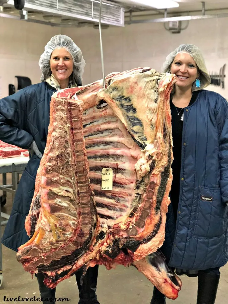 We only want to put the best things in our bodies and to feed the best things to our kids. Learn what's in your beef on this journey from feed lot to fork!