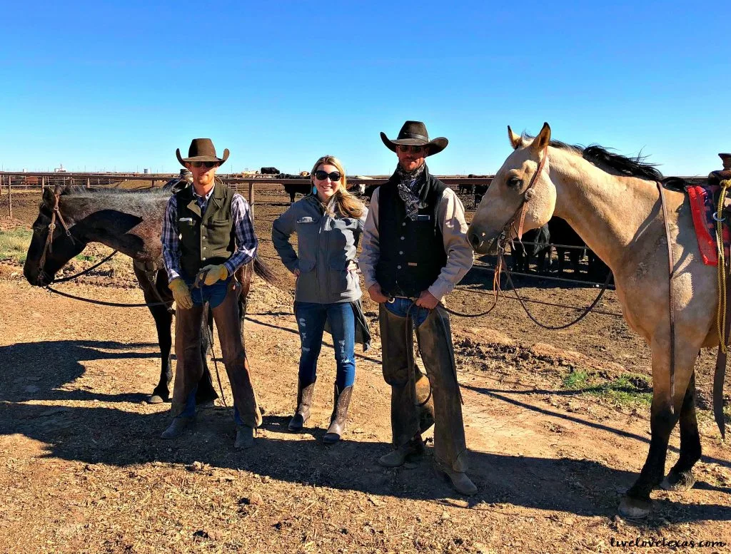 We only want to put the best things in our bodies and to feed the best things to our kids. Learn what's in your beef on this journey from feed lot to fork!