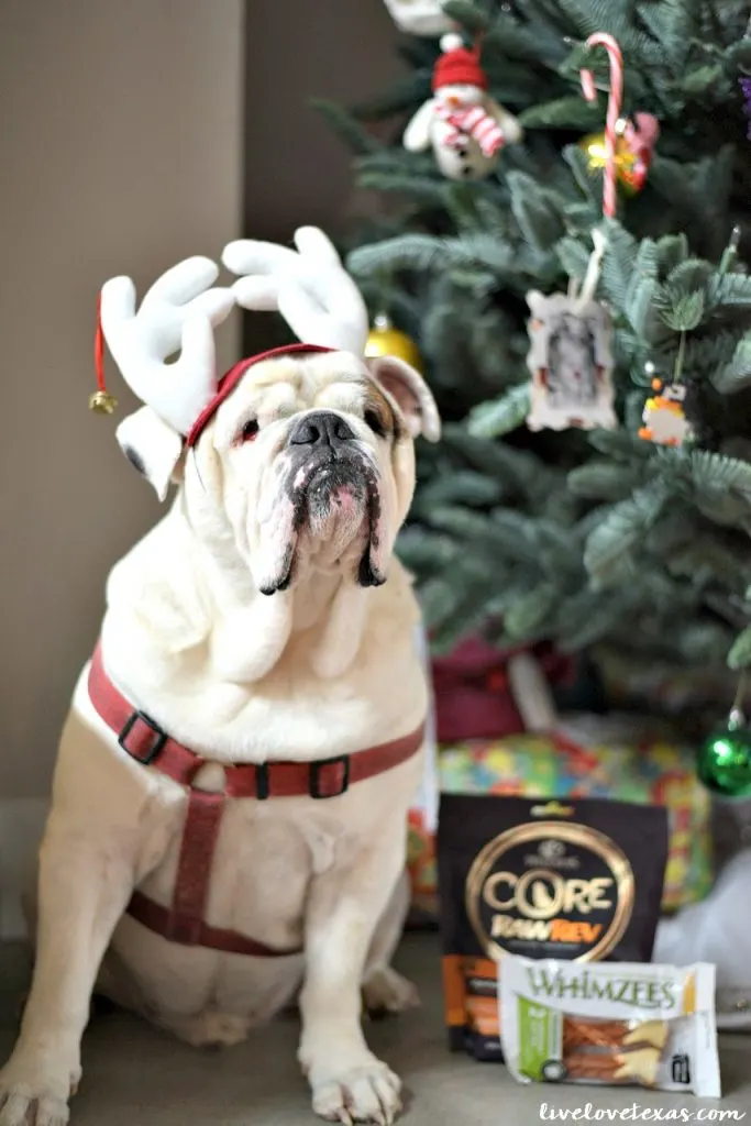 Don't wait until Sunday and realize you have nothing planned, get inspired with these 10 Christmas Eve Ideas for families!