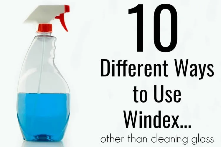 Do you remember in My Big Fat Greek Wedding the dad was always walking around with Windex and putting it on everything? Well who knew that guy knew something the rest of us didn't. Here are&nbsp;10 different uses for Windex other than just cleaning windows in your home!