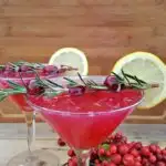 This fresh cranberry lemon drop martini&nbsp;recipe is a little bit sweet, a little bit tart, and every bit refreshing and simple. You'll make your own simple syrup using cranberries, water, and sugar as the base for this martini recipe.