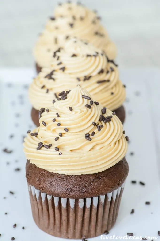 Forget plain old cupcakes. Take your dessert game to the next level with this&nbsp;Chocolate Bailey's Irish Cream Cupcakes recipe with Bailey's Irish Cream Buttercream Frosting. These rich chocolate cupcakes have Bailey's Irish Cream mixed into the batter and another dash of Bailey's is added to the perfectly balanced homemade buttercream. These cupcakes will leave an impression whether they're for St. Patrick's Day or another party! #irishcreamrecipes #baileysirishcream #baileysrecipes