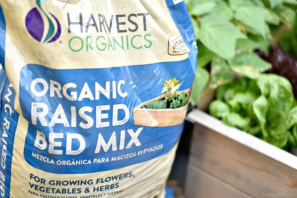 Ditch the store-bought salsa and make your own with this Easy Homemade Salsa Recipe with Fresh Tomatoes & Peppers. It's fast and simple to make to make and tastes great as a topping or with chips!