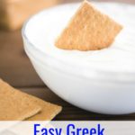 Take snack time to the next level with this Easy Greek Yogurt Dip Recipe for Crackers and Fruit that uses just 2 ingredients!