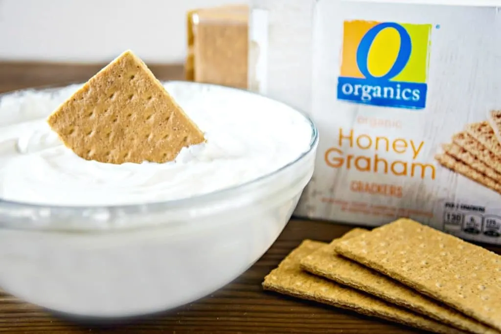 Take snack time to the next level with this Easy Greek Yogurt Dip Recipe for Crackers and Fruit that uses just 2 ingredients!